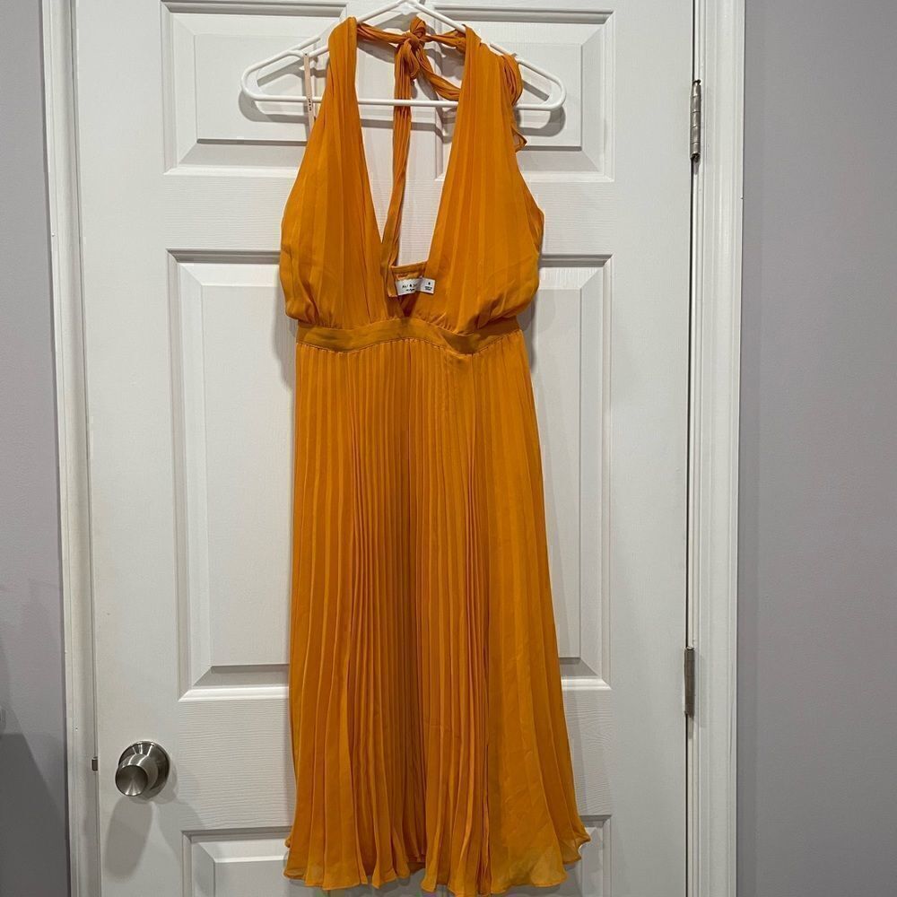 NWT Ali & Jay dress